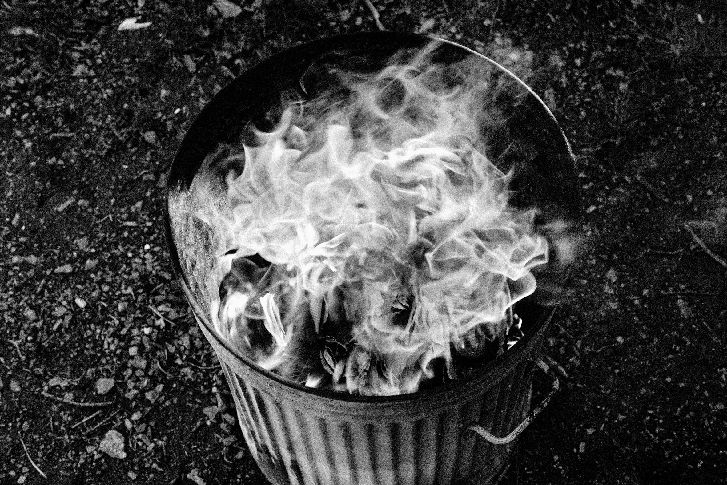 Will Green. Death and Other Belongings. Published by GOST